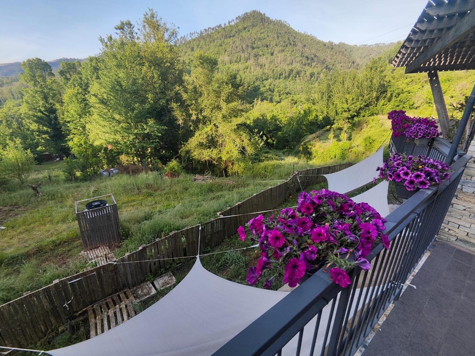 Agriturismo Terre Di Ginepro Borghetto di Vara Exterior photo